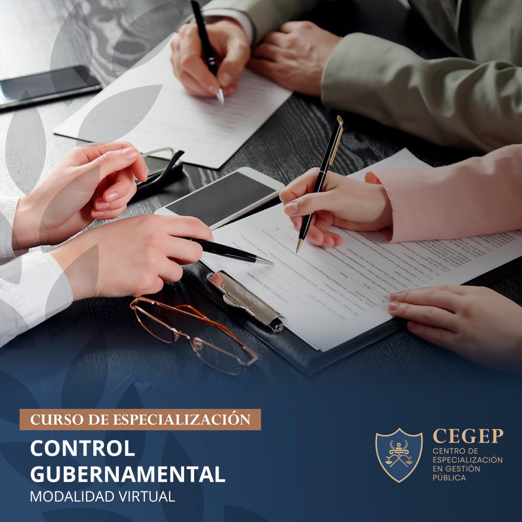 CURSO CONTROL GUBERNAMENTAL   CEGEP