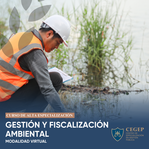 Curso Gestión y Fiscalización Ambiental