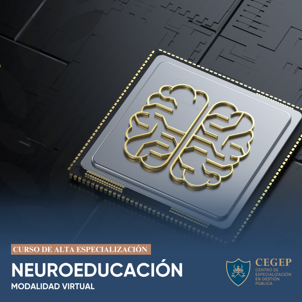 Curso Neuroeducación