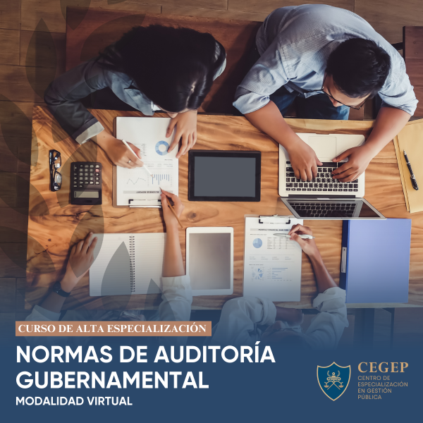 Curso Normas de Auditoría Gubernamental