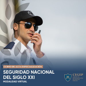 Seguridad nacional Siglo XXI